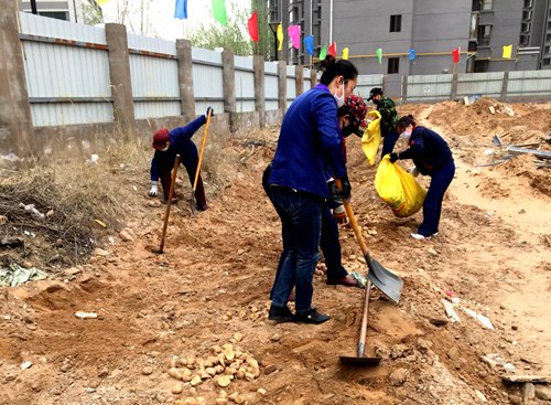 大秦置業(yè)秦和物業(yè)公司點種果蔬“一箭三雕”