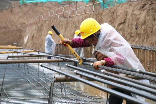 雨天里，“小蜜蜂們”在“筑巢”