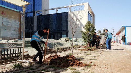 陜煤建設(shè)澄合分公司基層單位開展“植樹護(hù)綠，美麗家園”義務(wù)植樹活動