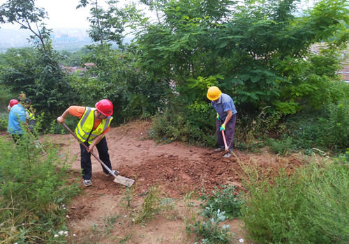 青年突擊勇?lián)?dāng)，助民防洪顯形象