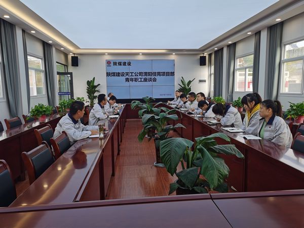 陜煤建設(shè)天工公司渭陽佳苑項(xiàng)目部召開“學(xué)習(xí)本領(lǐng)+錘煉品德”專題青工座談會