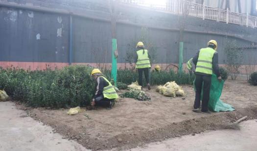 陜煤建設(shè)綠宇公司：龍鋼廠(chǎng)區(qū)再添綠色“新衣”