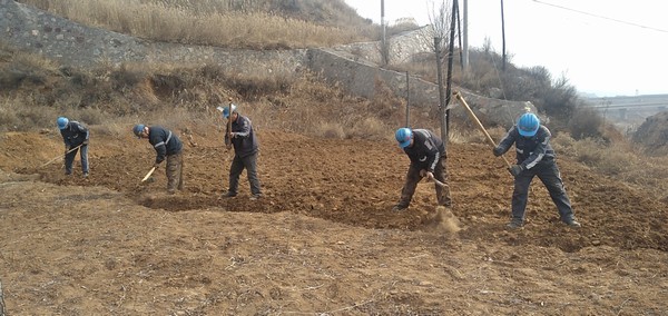 陜煤建設(shè)洗選煤運(yùn)營公司左權(quán)洗煤廠項(xiàng)目部：春耕“小菜園”，播種幸福感