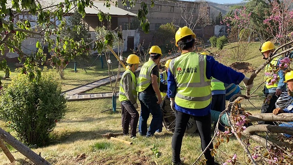 陜煤建設綠宇公司： 王石凹煤礦工業(yè)遺址春季添綠忙