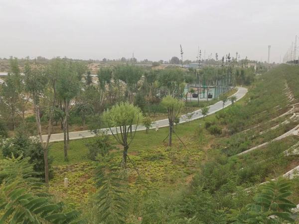 陜煤建設(shè)銅煤公司第八項(xiàng)目部承建的靖神鐵路站區(qū)景觀綠化工程順利通過(guò)竣工驗(yàn)收