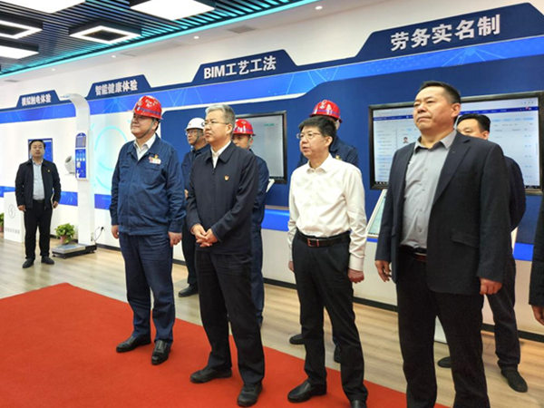 渭南市委副書記、市長陳曉勇視察龍鋼機械化綜合一次料場項目建設(shè)情況