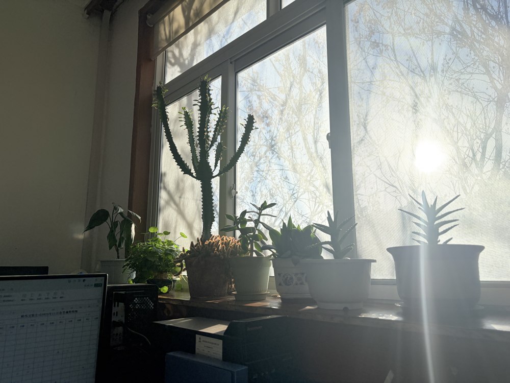 冬陽正好，步履鏗鏘