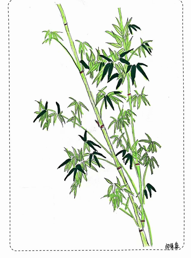 漫說廉潔！這組“草木廉盟”太可了